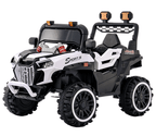 6620019-2M/4M