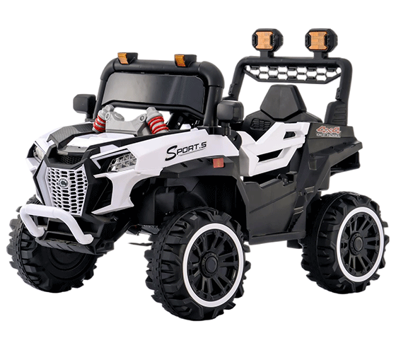 6620019-2M/4M