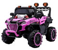 6620019-2M/4M