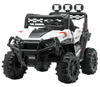 6620021-2M/4M