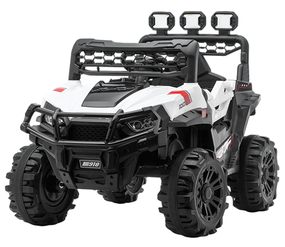 6620021-2M/4M