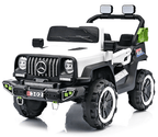 6620024-2M/4M